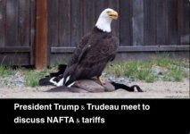 NAFTA.JPG